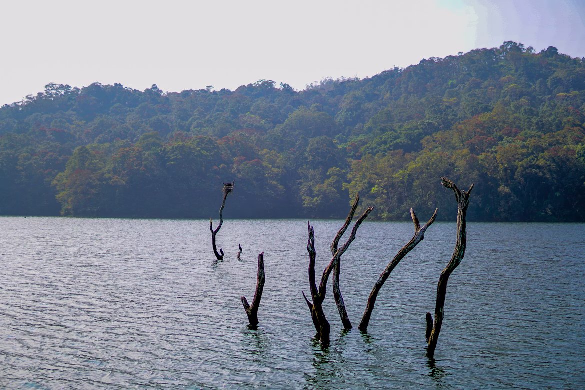 Thekkady
