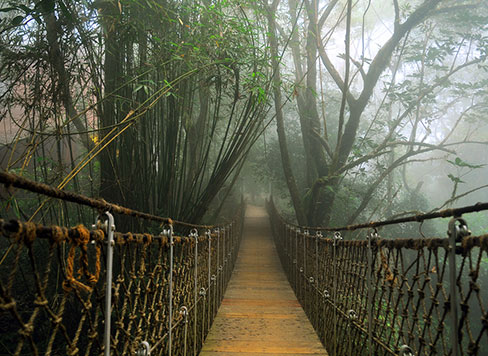 Wayanad